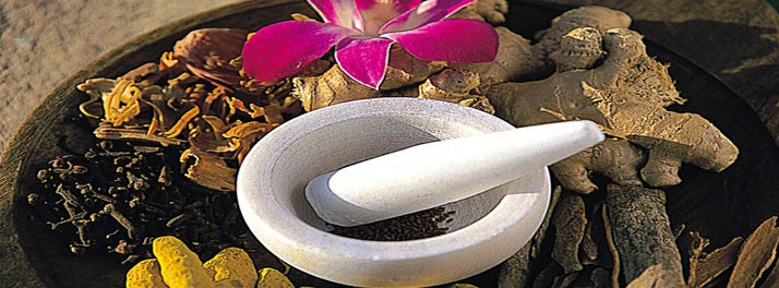 619/Paradise Isle Beach Resort - Udupi 16.jpg